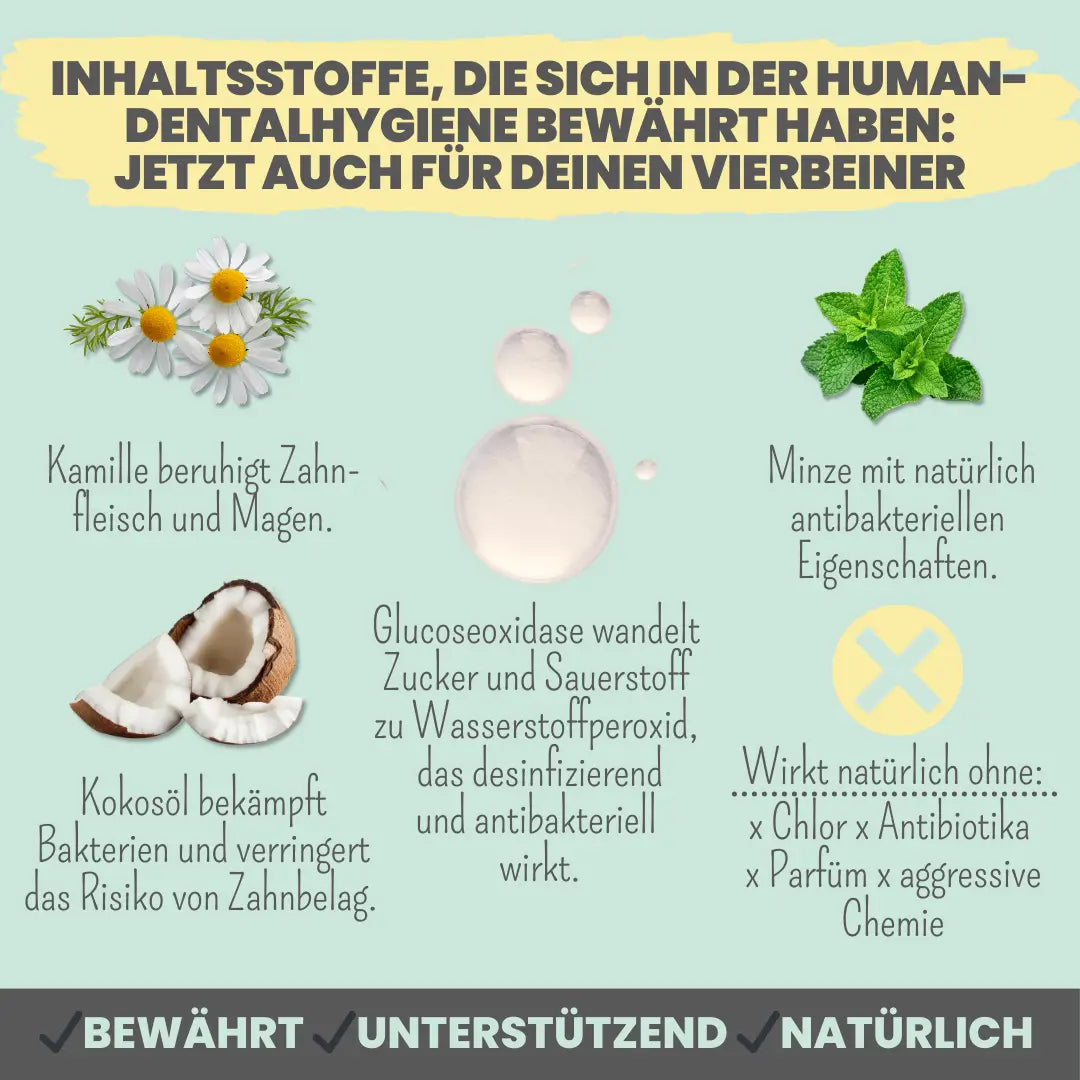 Noms+ Enzymatische Zahnpasta mit natürlicher Pflege und Präventionsformel